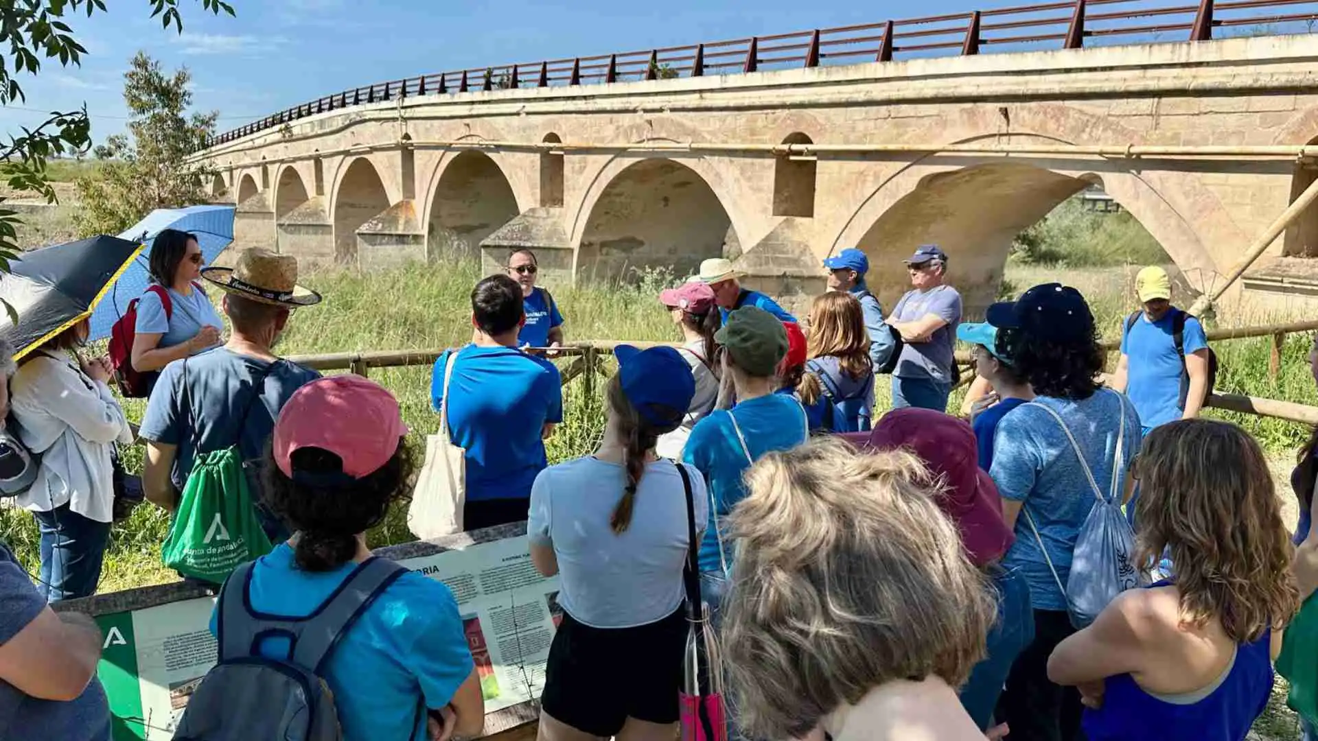 Consultoría del Agua