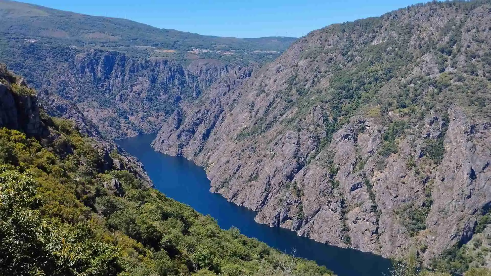 Política de Privacidad